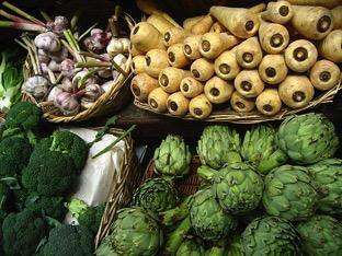 Foods that support gut bacteria.