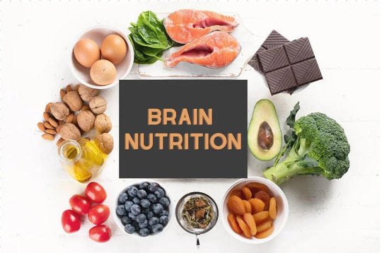 Brain