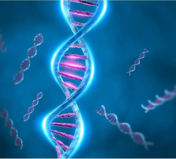 Colorful DNA double helix strands on blue background representing genetic testing