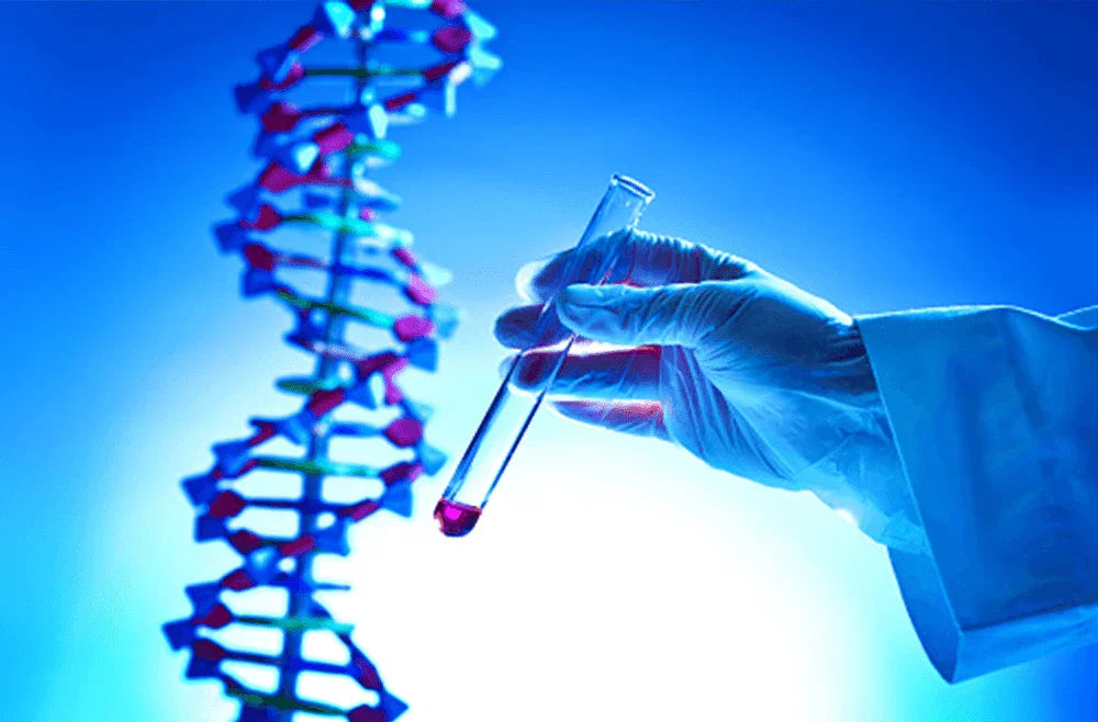 Gloved hand holding test tube near DNA strand for genetic testing and lab analysis
