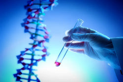 3x4 Genetics Test